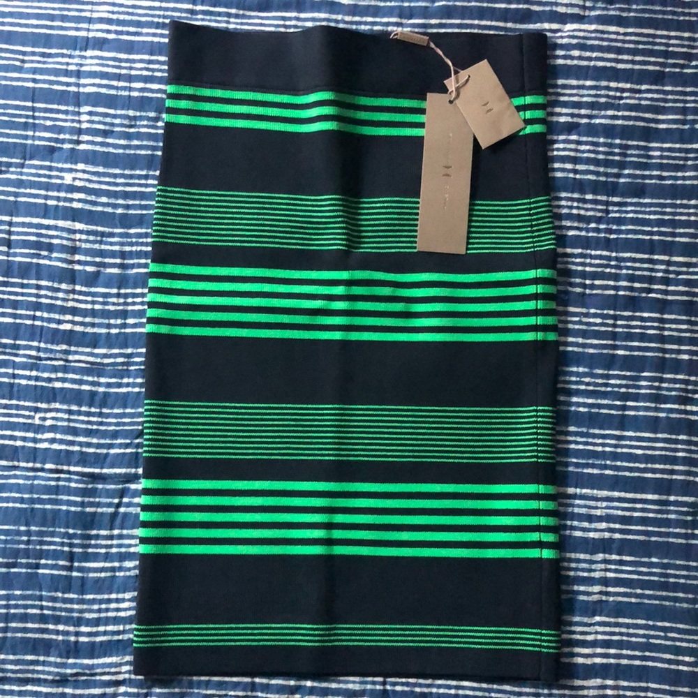 NWT Hailstorm Heritage stretchy skirt